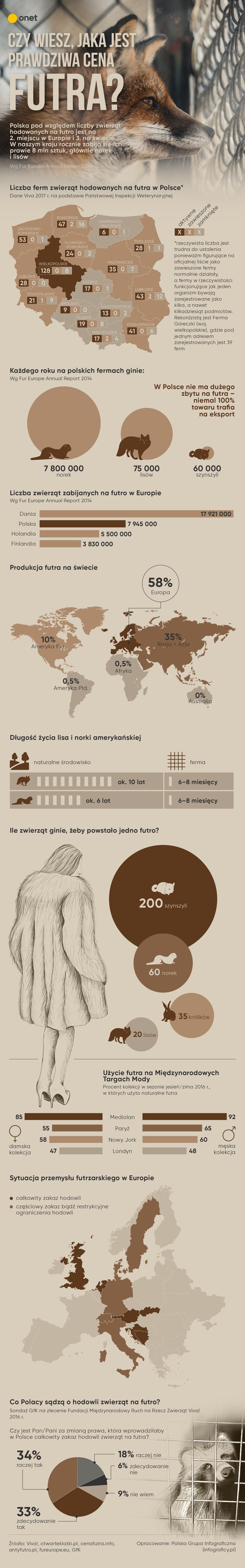 Czy wiesz ile naprawdę kosztuje futro? [INFOGRAFIKA]