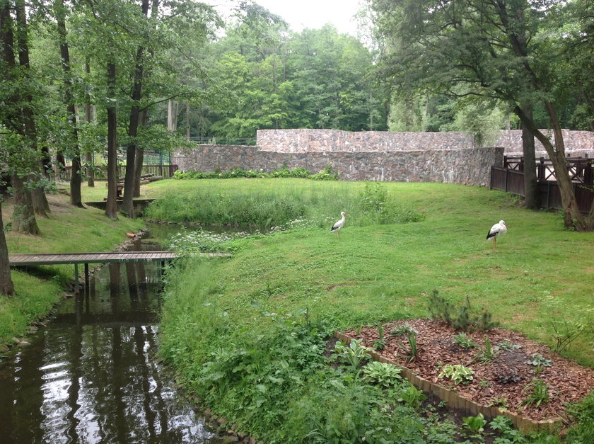 ZOO zostało niedawno odnowione