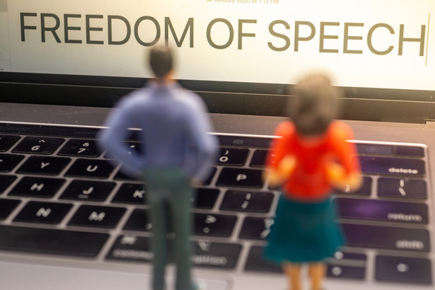 Wolność słowa. Internet. Zniesławienie