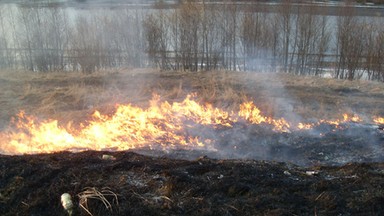 Wraca problem wypalania traw – strażacy apelują o rozsądek