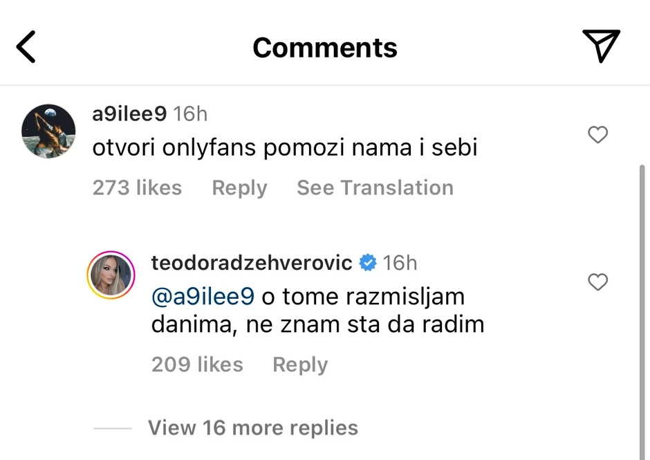 Komentari na slikama Teodore Džehverović