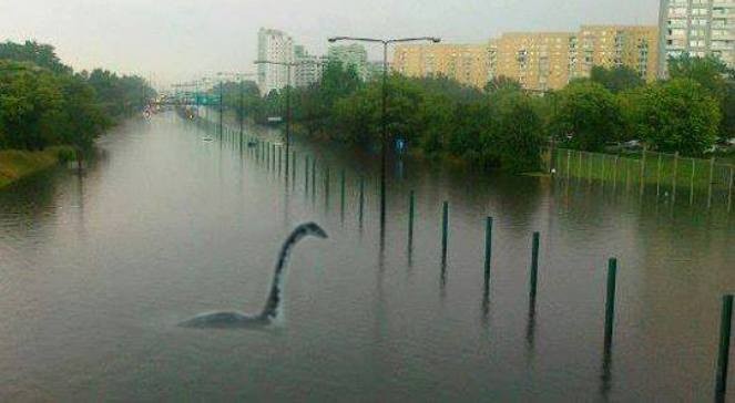 Galeria MEMów o powodzi w Warszawie