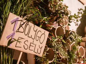 „Tudjuk, hogy ti sem tudjátok, hogy lehetne megmenteni a világot, de legalább látni szeretnénk, hogy igyekeztek”