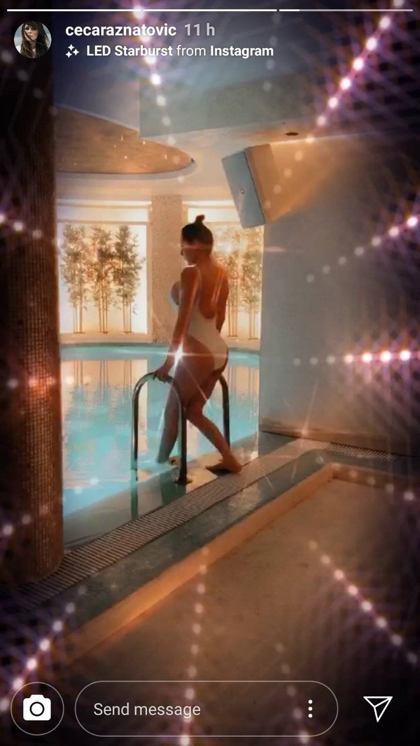 Ceca Ražnatović - dom