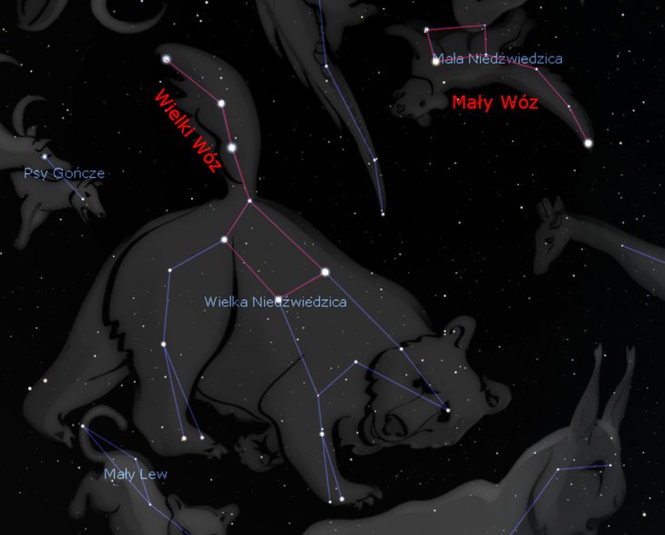 Wielka i Mała Niedźwiedzica, zrzut ekranu z programu Stellarium, opracowanie Bogna Pazderska