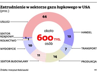 Gaz łupkowy: Uruchomienie wydobycia gazu z łupków ożywi rynek