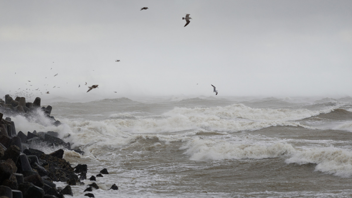 Turystka robiła sobie zdjęcie. Silne fale porwały ją w głąb oceanu