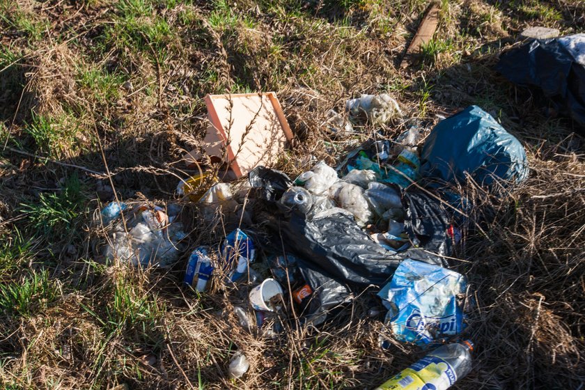 Śmieci przy ul. Złotowskiej w Poznaniu