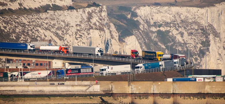 Aktywiści klimatyczni zablokowali port w Dover. Policja wkroczyła do akcji