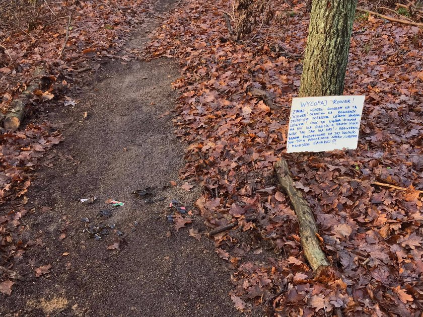 Niebezpieczne pułapki w podkowiańskim lesie. "Następne będą żyłki i wilcze doły?"