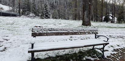 Zima nie odpuszcza. Oto, co nas czeka w najbliższych dniach