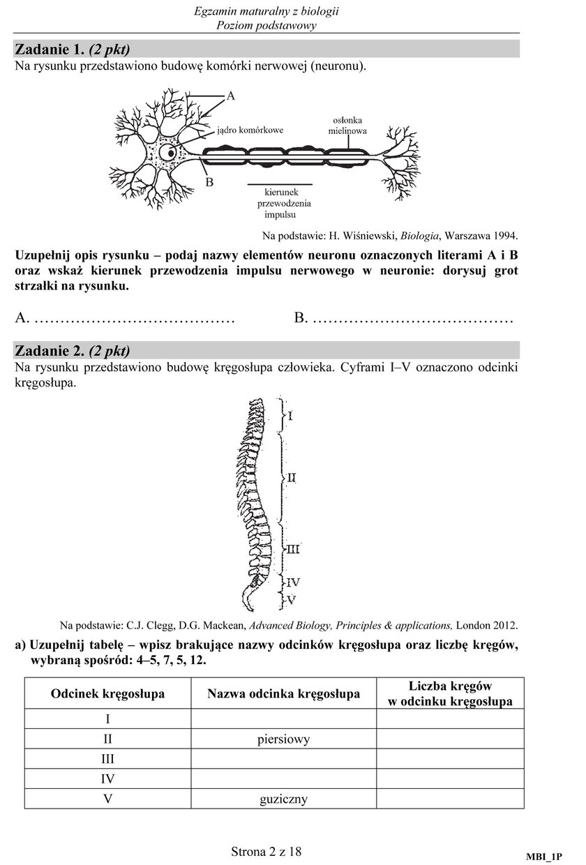 Matura 2017 biologia. Arkusze maturalne CKE