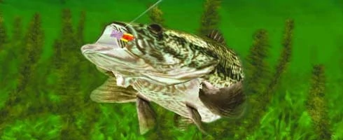 Screen z gry "Rapala Trophies".