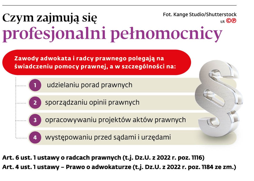 Czym zajmują się profesjonalni pełnomocnicy