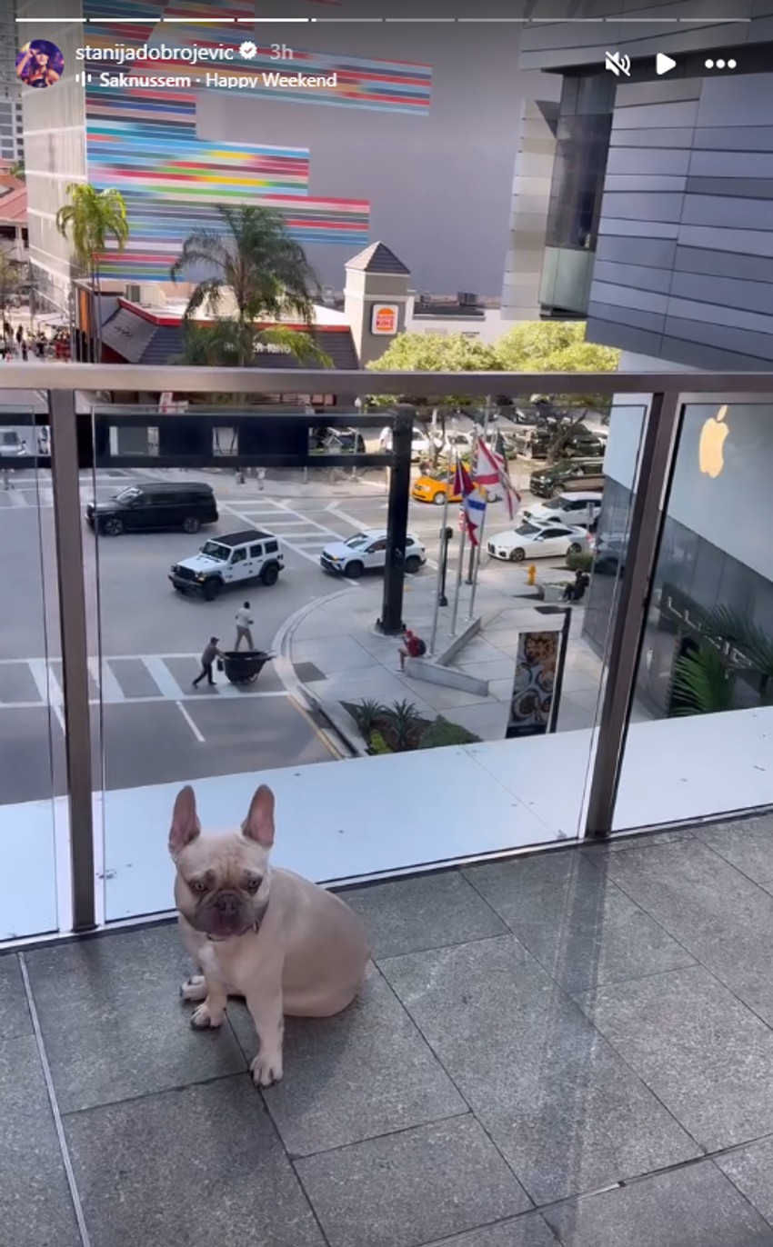 Stanija Dobrojević, objava iz Majamija