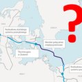 Myszy i nietoperze blokują Baltic Pipe. 5 rzeczy, które trzeba wiedzieć o kluczowej inwestycji Polski