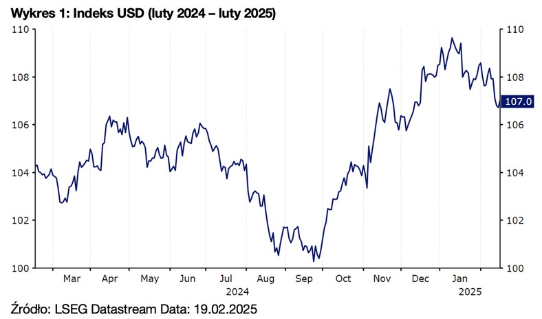 Wykres 1: Indeks USD (luty 2024 – luty 2025)