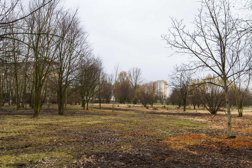 Skanska wybuduje Park Rataje