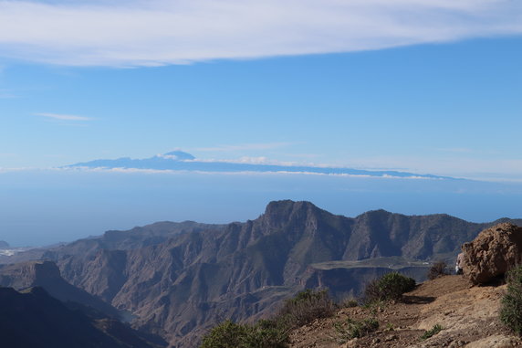 Widok z Roque Nublo