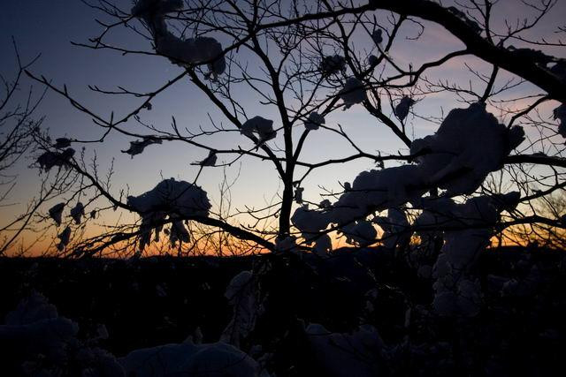 Galeria Polska - Bieszczady w zimowej szacie, obrazek 47