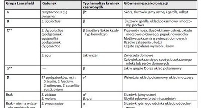 Paciorkowiec W Gardle Objawy I Leczenia Zakazenie Paciorkowcem
