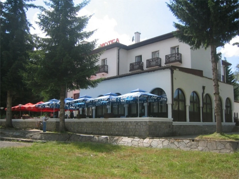 Hotel "Vlasina"