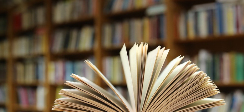 Arcydzieła światowej literatury. Dopasuj postać do powieści. QUIZ dla moli książkowych