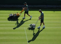 Sport w TV we wtorek 1 lipca. Świątek, Linette i Fręch grają na Wimbledonie. Gdzie obejrzeć na żywo?