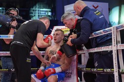 Walka Szeremety z Gołowkinem o pas IBF 18 lub 19 grudnia w USA