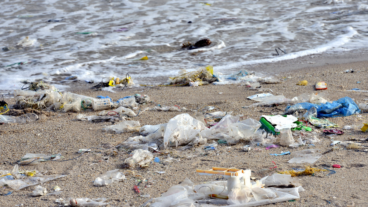Zanieczyszczenie oceanów to nie tylko pływający plastik, ale też pestycydy i pyły z lądu. Ludzka działalność niszczy oceaniczne ekosystemy na wiele innych sposobów - pisze w "Przeglądzie" Mateusz Mazzini.