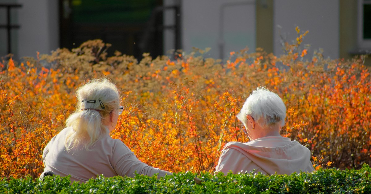 Profilaktyka zdrowotna dla seniorów. Rząd już pracuje nad nowym udogodnieniem