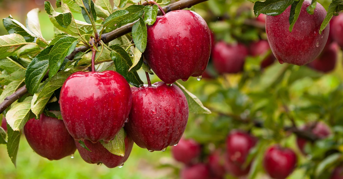 Państwo zadba o zdrowie konsumenta. Za jego własne pieniądze