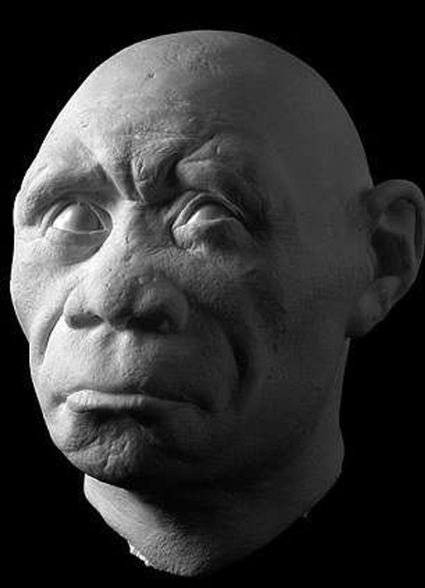 Homo floresiensis. Человек флоресский Хоббит. Флоресский человек реконструкция.