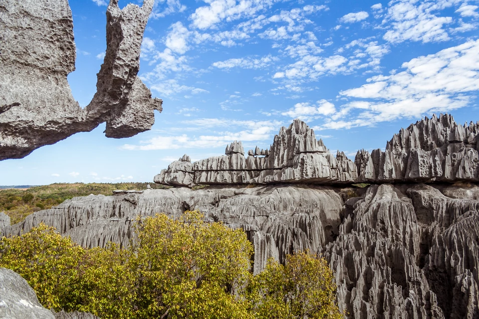 Tsingy de Bemaraha (Kamienny Las), Madagaskar