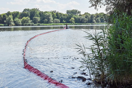 Związki rtęci na Odrze, ale na Śląsku. Oto najnowszy raport