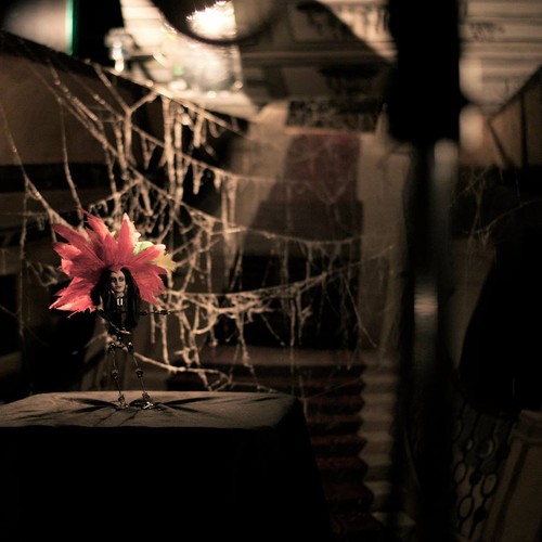 Natalia Kukulska przedstawia 'Pióropusz'