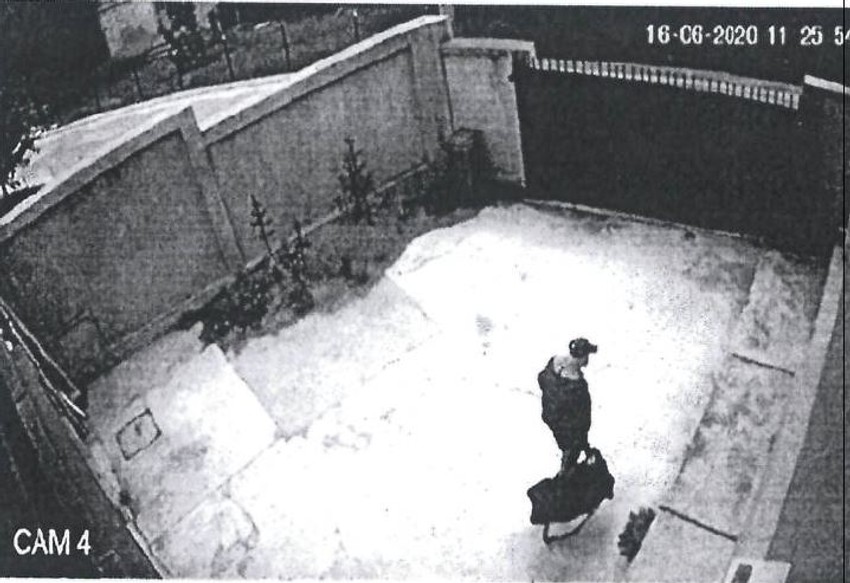 Sigurnosne kamere koje su sami postavili snimile kako su se ponašali pre i nakon ubistva Pukija