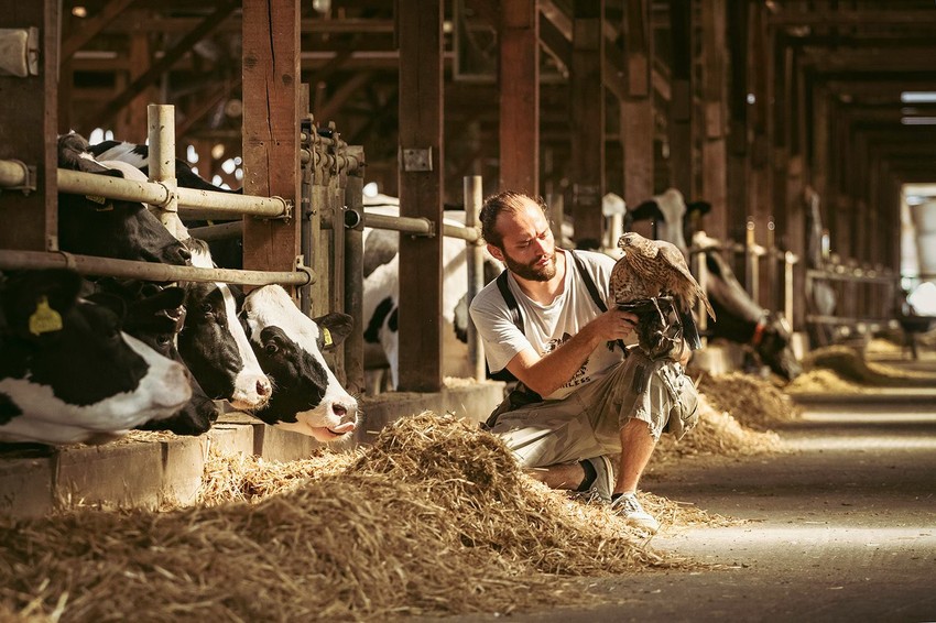 Ključno je poverenje