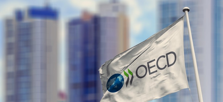 Gospodarcze prognozy OECD dla Polski. Rząd nie zgadza się ze wszystkimi wynikami