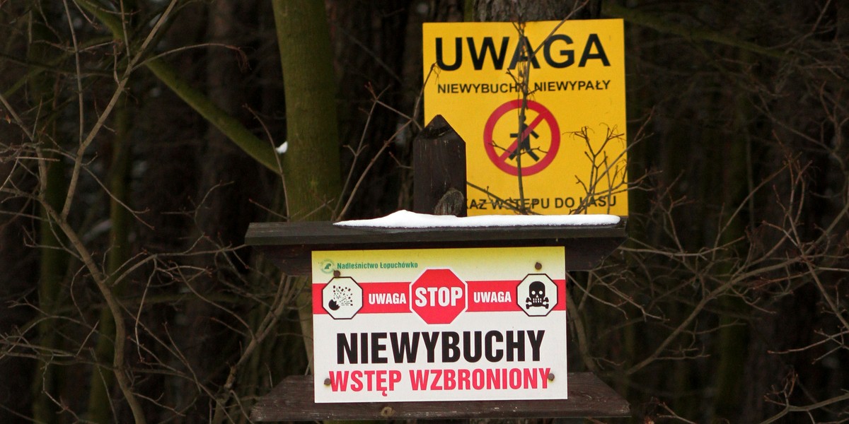 Niewybuchy w lesie w Koziegłowach