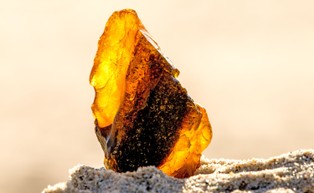 Mierzeja Wiślana: w trakcie budowy przekopu wydobyto około 17 kg bursztynu