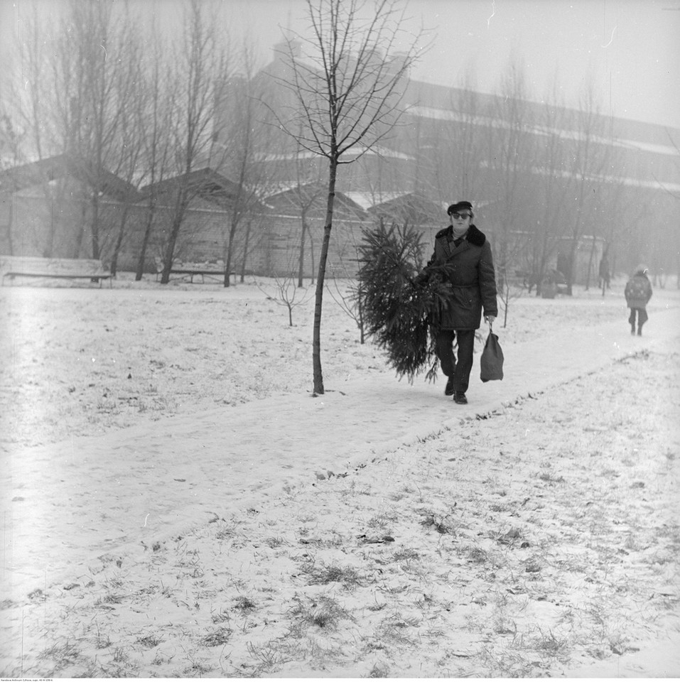 Mężczyzna z choinką na skwerze przy Hali Mirowskiej w Warszawie (1974 r.)