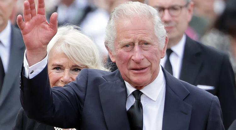 Megrázó, ami még kiderült a rákbetegséggel küzdő Károly királyról Fotó: Getty Images