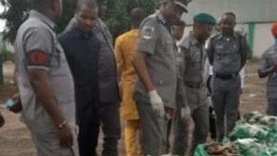 Comptroller Muhammed Yusuf of MMAC showcasing the donkey genitals