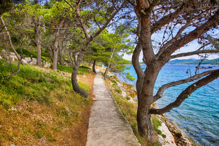 Ścieżka spacerowa na wyspie Lošinj / fot. M. Schauer, Shutterstock