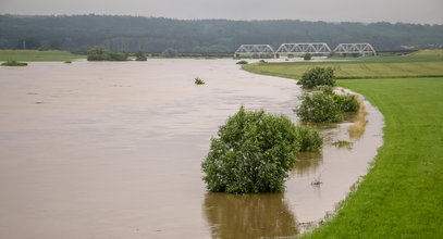 Ostrzeżenie IMGW najwyższego stopnia. Niebezpieczne wezbrania na Odrze