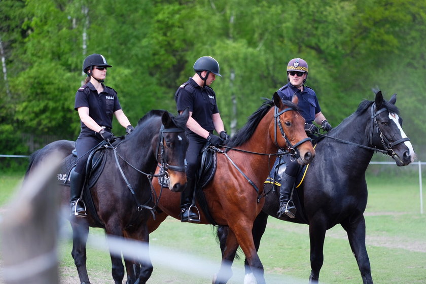Policja i straż miejska z Łodzi zorganizowały wspólne ćwiczenia dla koni