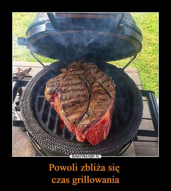 Najlepsze memy o wiośnie