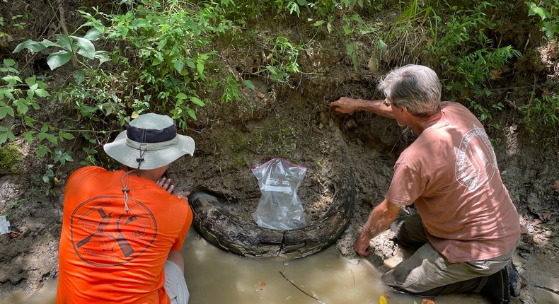 Eddie Templeton (right) found a well-preserved mammoth tusk in a Mississippi creek.Mississippi Department of Environmental Quality