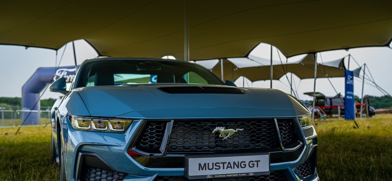 Największy taki zlot w Polsce. 250 Mustangów w jednym miejscu